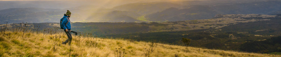 Hiking in the Wilderness