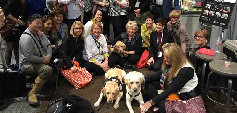 Service Dogs in Booth